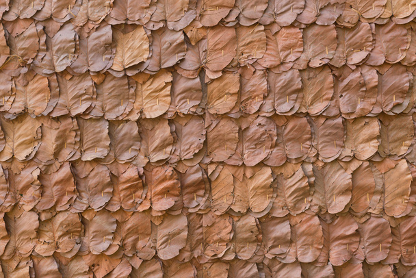 hojas secas decorativas en la pared tradicional
 - Foto, Imagen