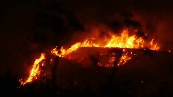 Bushfire hořící oranžové a červené - Záběry, video