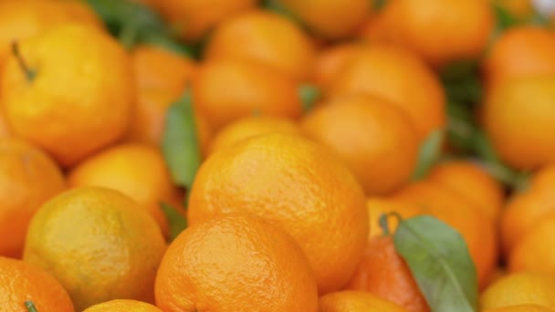fresh oranges at the market - Кадри, відео