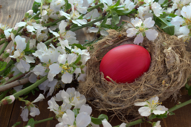 Easter egg in the nest. - Фото, изображение