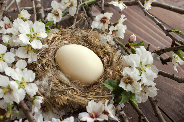 Easter egg in the nest. - Foto, afbeelding