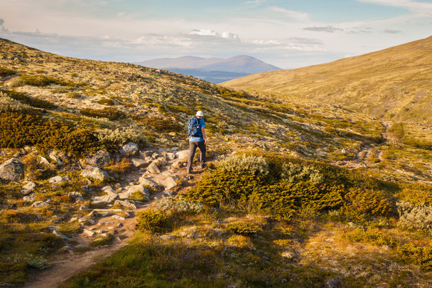 excursionista con mochila viajando por Noruega montañas Dovre
 - Foto, imagen
