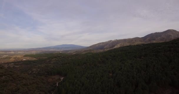 4k επιτόπιων δειγματοληπτικών, πτήση πάνω από το δάσος στην Ανδαλουσία, Ισπανία - Πλάνα, βίντεο