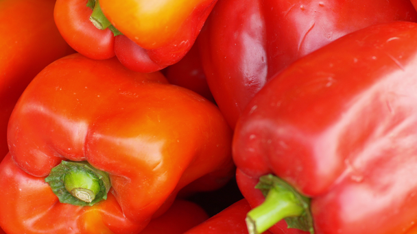 peperone rosso sul mercato - Filmati, video