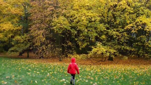 Niña hermosa en el parque de otoño de la ciudad
 - Metraje, vídeo