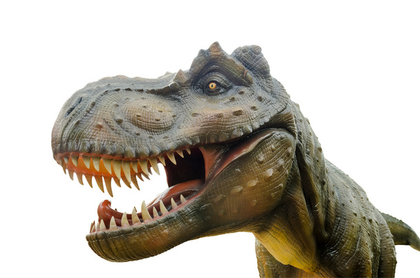 Агрессивный тираннозавр на белом фоне
. - Фото, изображение