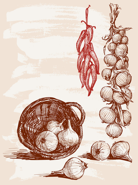 Cebolla y pimienta
 - Vector, imagen