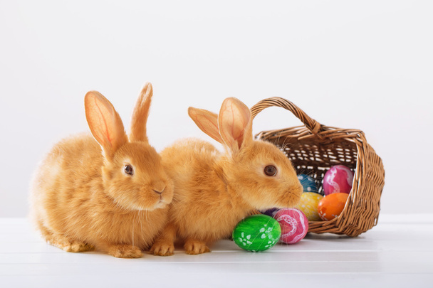 konijnen met Pasen eieren op witte achtergrond - Foto, afbeelding