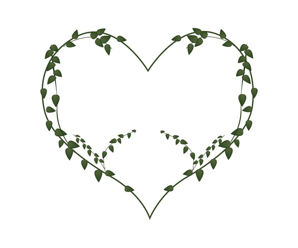 Fresh Vine Leaves in Lovely Heart Shape - Вектор, зображення