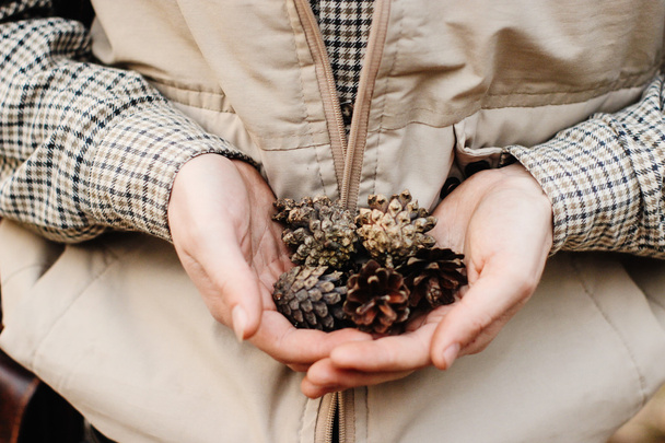 natural pine cones in hands - Photo, Image