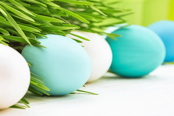 Easter Eggs with green grass - Foto, Imagen