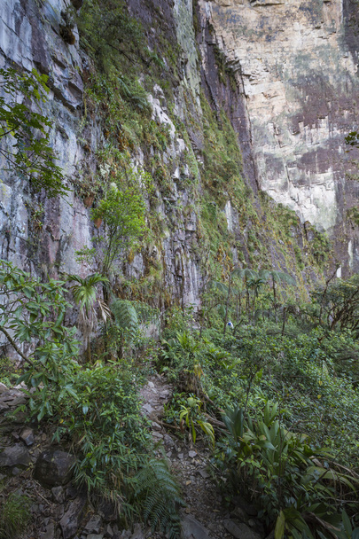 Stream dal Monte Roraima in Venezuela
 - Foto, immagini