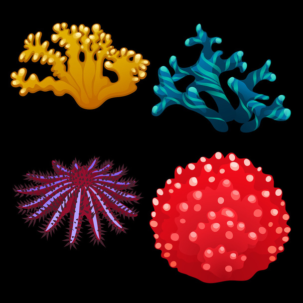 Four species of marine algae - Vettoriali, immagini