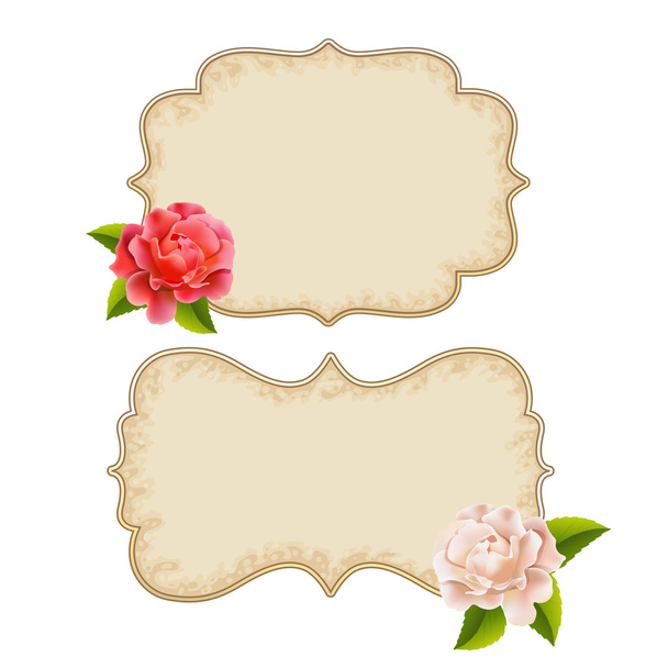 Labels with roses pink and white - Vector, Image