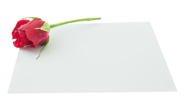 Бланк, открытка, пустая белая карточка, валентинка. маленький красный Ро
 - Фото, изображение