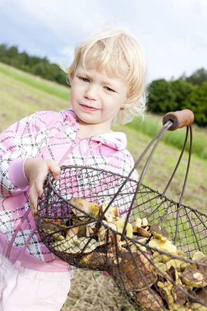 Portrait of little girl with basket of mushrooms - Photo, Image