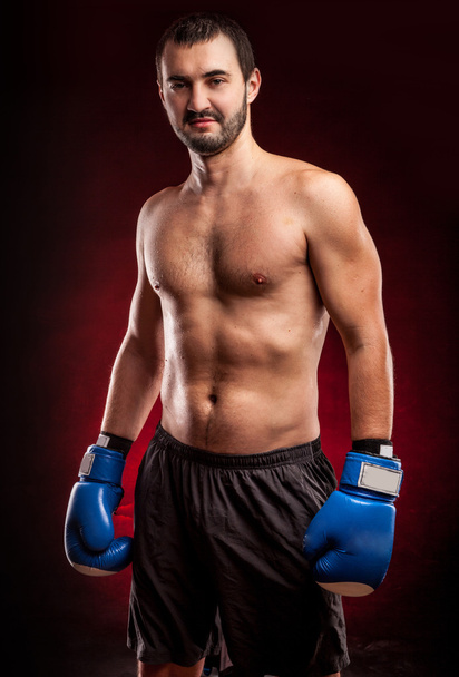 Boxer muscolare nelle riprese in studio
 - Foto, immagini