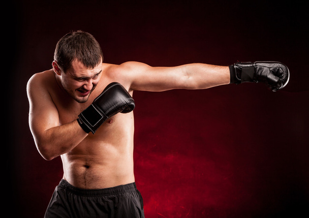 Boxer muscular em estúdio de tiro
 - Foto, Imagem