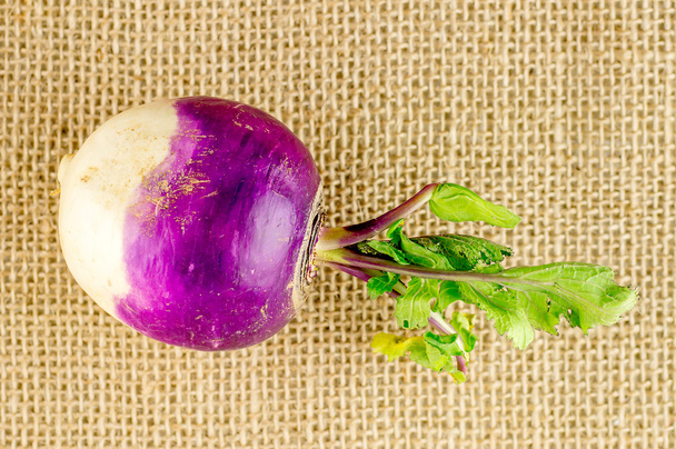 Tasty fresh organic turnip on burlap texture - Photo, Image