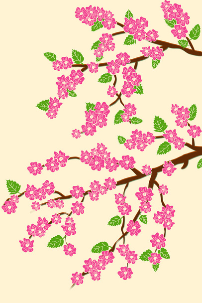Taustaa kirsikankukka
 - Vektori, kuva