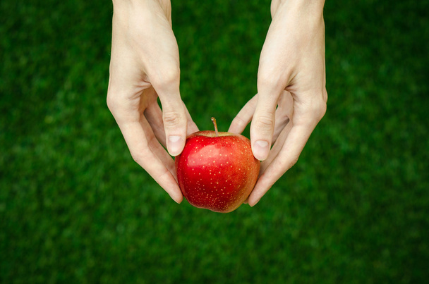Vegetarians and fresh fruit and vegetables on the nature of the theme: human hand holding a red apple on a background of green grass top view - 写真・画像