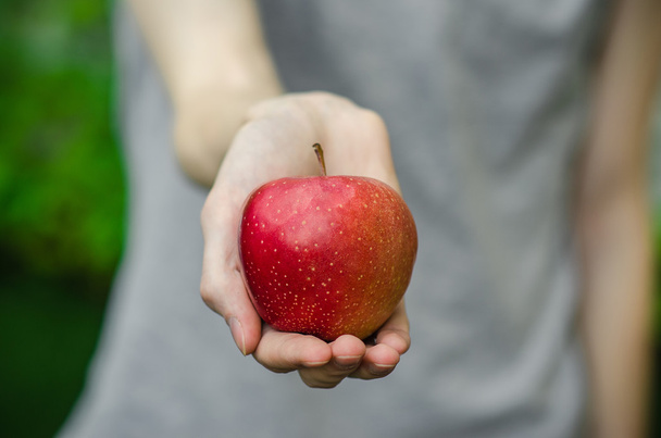 Vegetarians and fresh fruit and vegetables on the nature of the theme: human hand holding a red apple on a background of green grass - Fotoğraf, Görsel