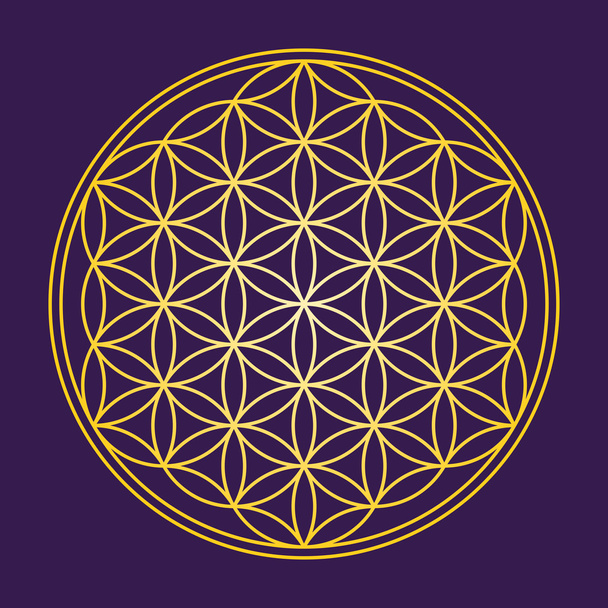 Flower of Life Gold Color - Vector, Image