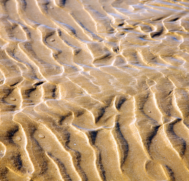 dune marocco in africa costa marrone spiaggia di sabbia bagnata vicino ad atlan
 - Foto, immagini