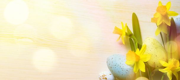 art Pâques Arrière-plan avec des œufs de Pâques et des fleurs jaunes de printemps
 - Photo, image