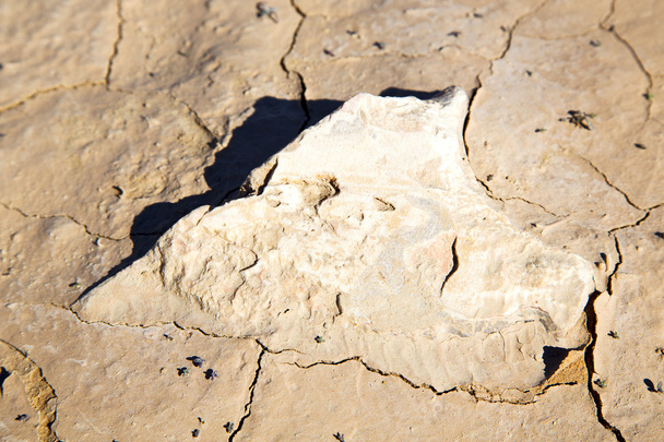 bruin droog zand in de sahara woestijn stenen rock - Foto, afbeelding