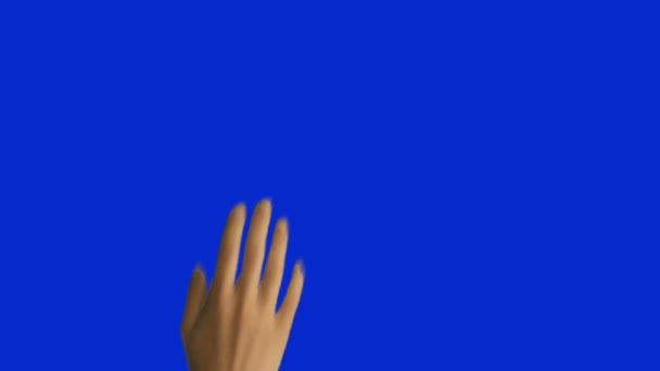 6 Woman Hand Gestures on Blue Screen - Footage, Video