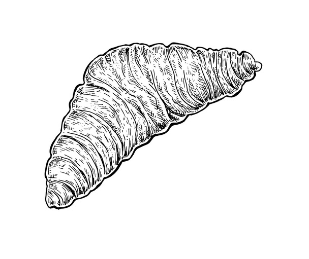 Black and white hand drawn sketch of a croissant. - ベクター画像