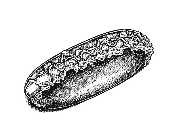 Black and white hand drawn sketchy hot dog. - Vector, Image