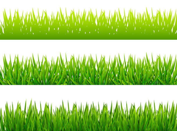 Hierba verde bordea sobre fondo blanco
 - Vector, imagen