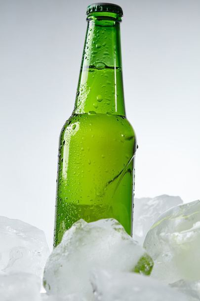 botella de cerveza en hielo
 - Foto, imagen