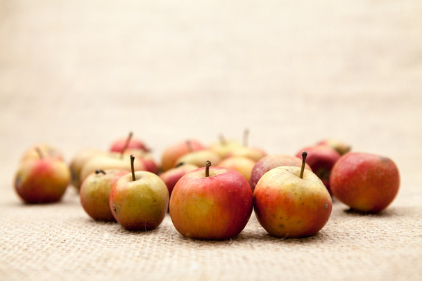 Small, red apples with burlap texture in the background - Фото, изображение