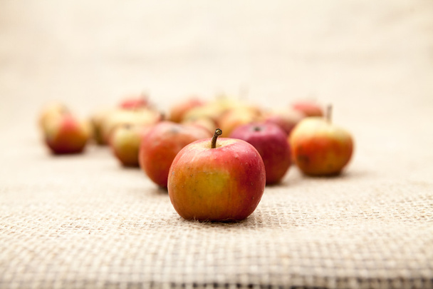 Small, red apples with burlap texture in the background - Фото, изображение