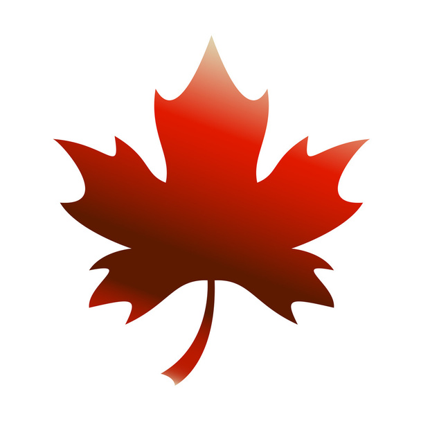 Maple Leaf Vector Icon - Vector, Image