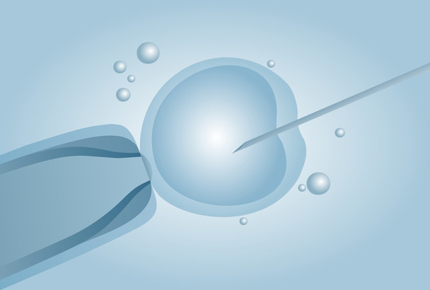 In vitro döllenme IVF mikroskobik suni tohumlama - Vektör, Görsel