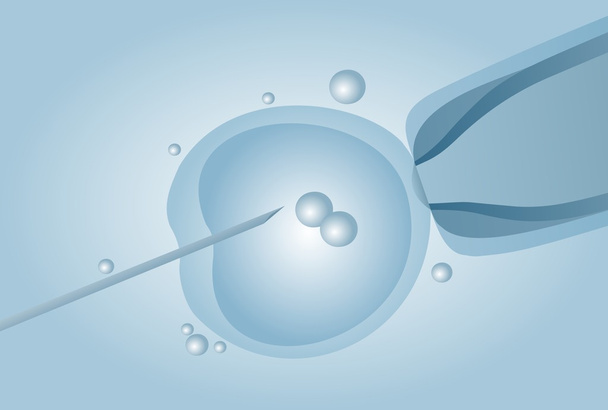 In vitro döllenme IVF mikroskobik suni tohumlama - Vektör, Görsel