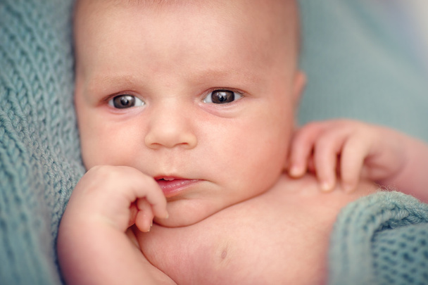Closeup Newborn Portrait - Photo, Image
