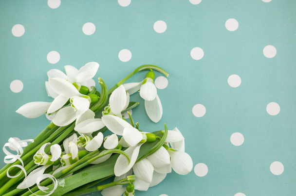 Fresh snowdrops on blue dotted background - Photo, Image