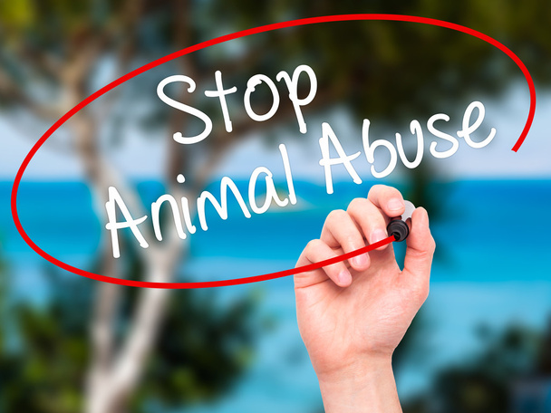 Мужчина написал Stop Animal Abuse черным маркером на визуальном фоне
 - Фото, изображение