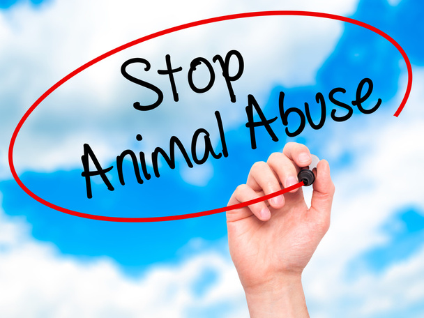 Ręką człowieka pisząc Stop Animal Abuse czarnym markerem na wizualne s - Zdjęcie, obraz