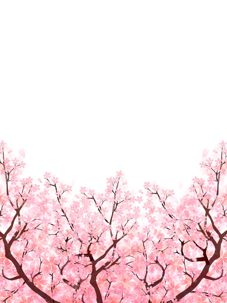 桜春の花背景 - ベクター画像