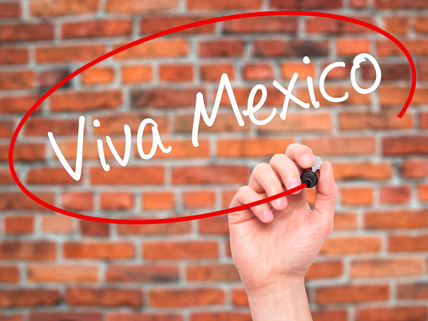 Mann handschriftlich viva Mexico mit schwarzem Filzstift auf Bildschirm - Foto, Bild
