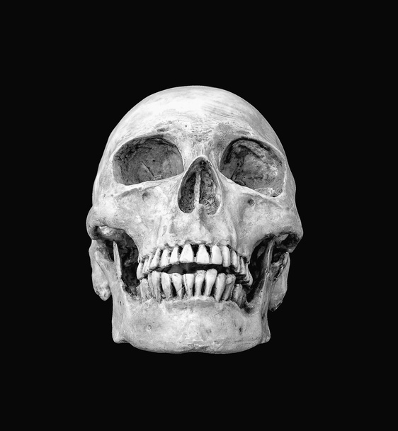 Crâne humain monochrome sur fond noir isolé
  - Photo, image