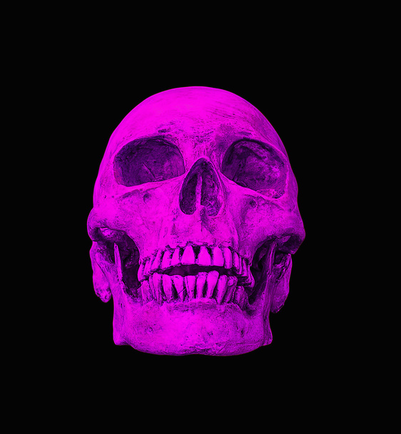 Pink human skull on isolated black background  - Foto, imagen
