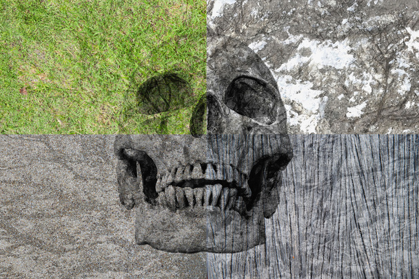 Людський череп на іншому тлі, трав'яна скеля, дерево, цемен
 - Фото, зображення
