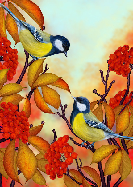 Tit bird on a background of the autumn garden - Φωτογραφία, εικόνα